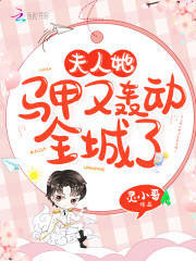 乔念叶妄川章节列表
