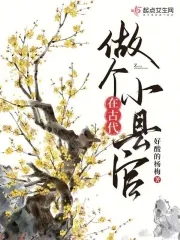 在古代做个小县官章节列表