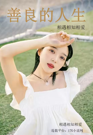 善良的人生章节列表